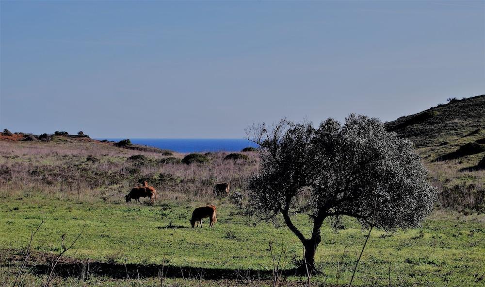 Praia Do Burgau Eksteriør bilde